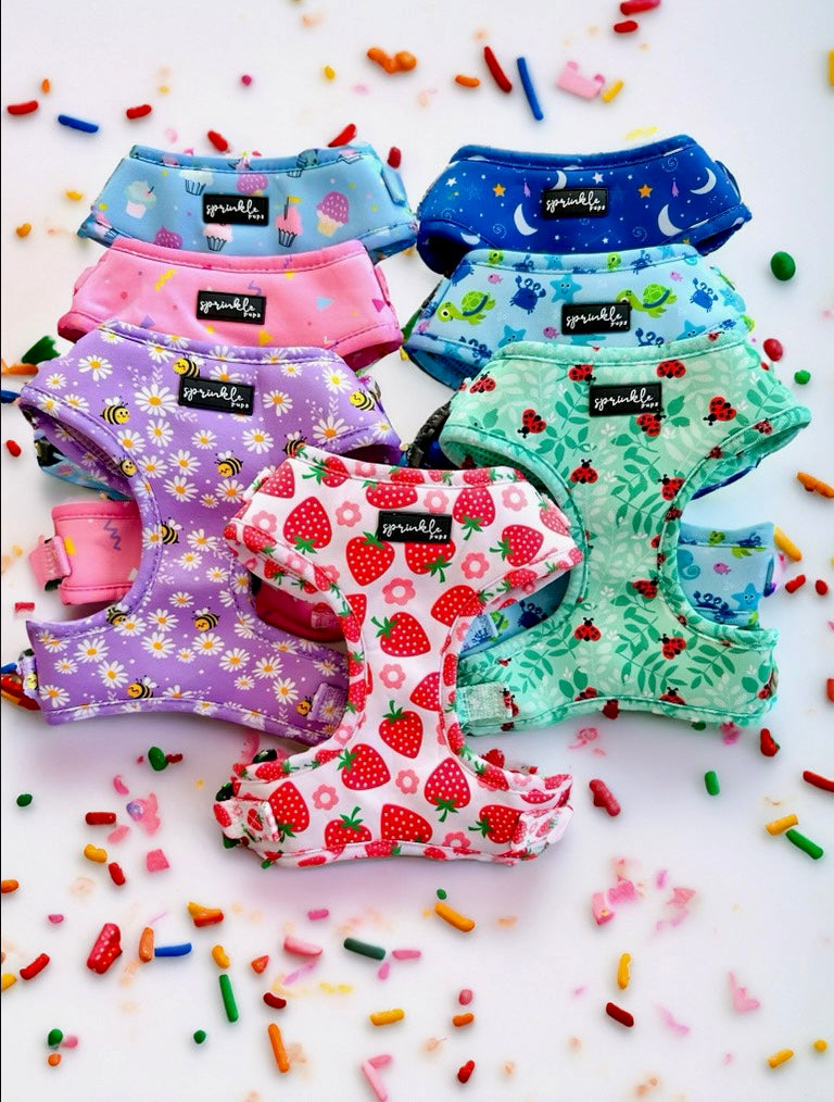 Walking Your Pup in Style: Paw-fect Leash and Harness Combinations