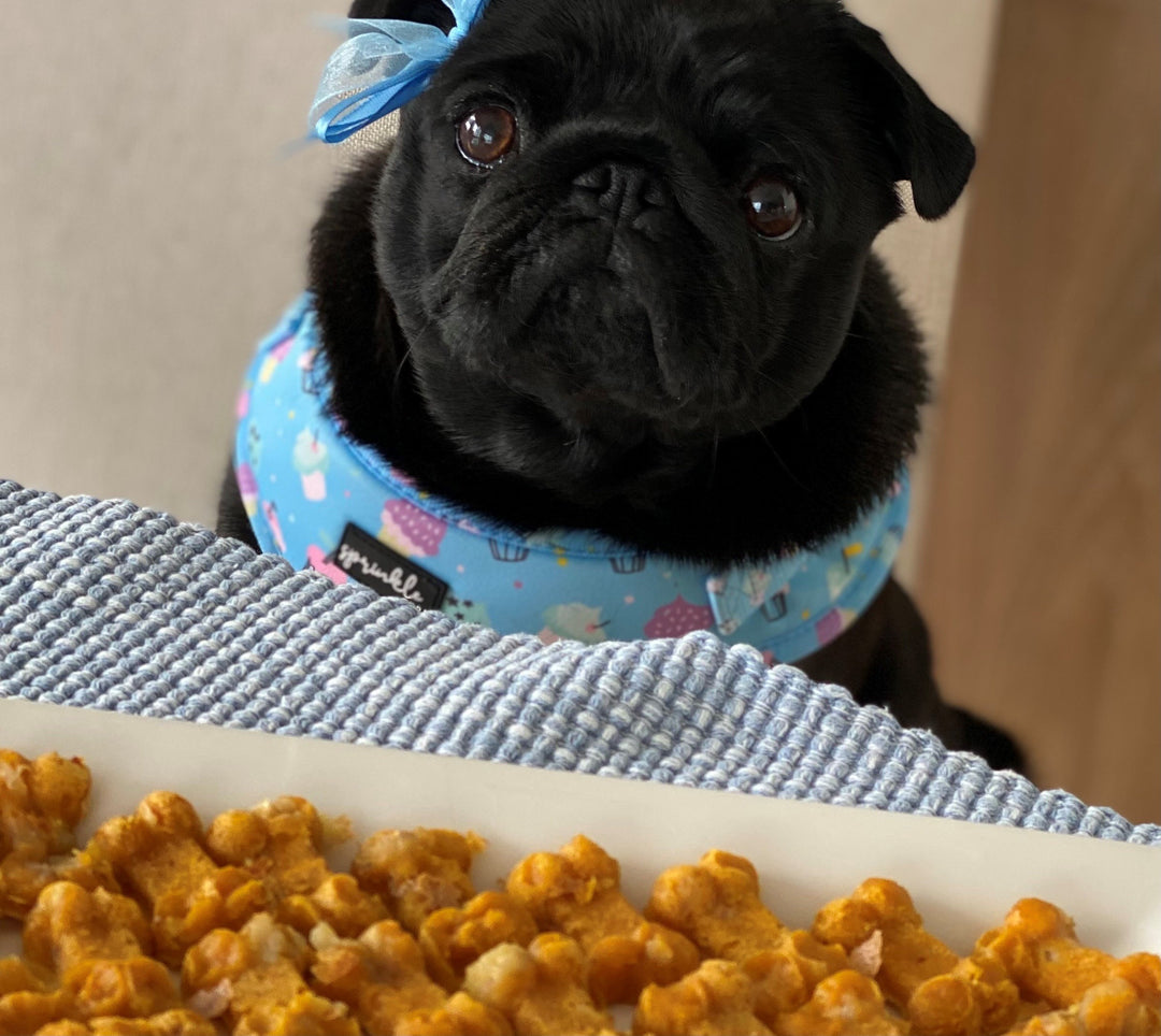 Little Bea's Favorite Banana Pumpkin Pupcake Bites