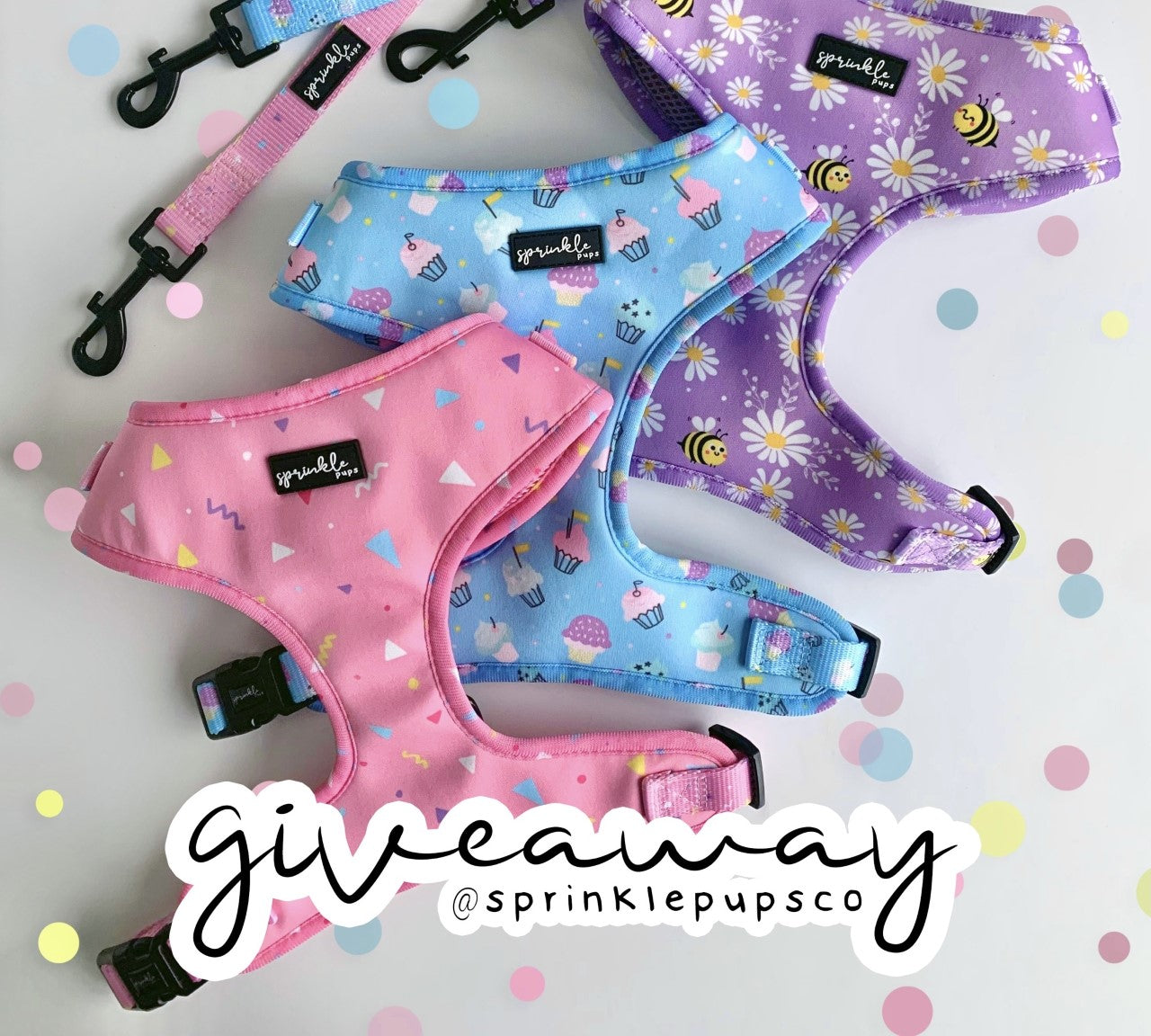 Hooray for a giveaway! – Sprinkle Pups