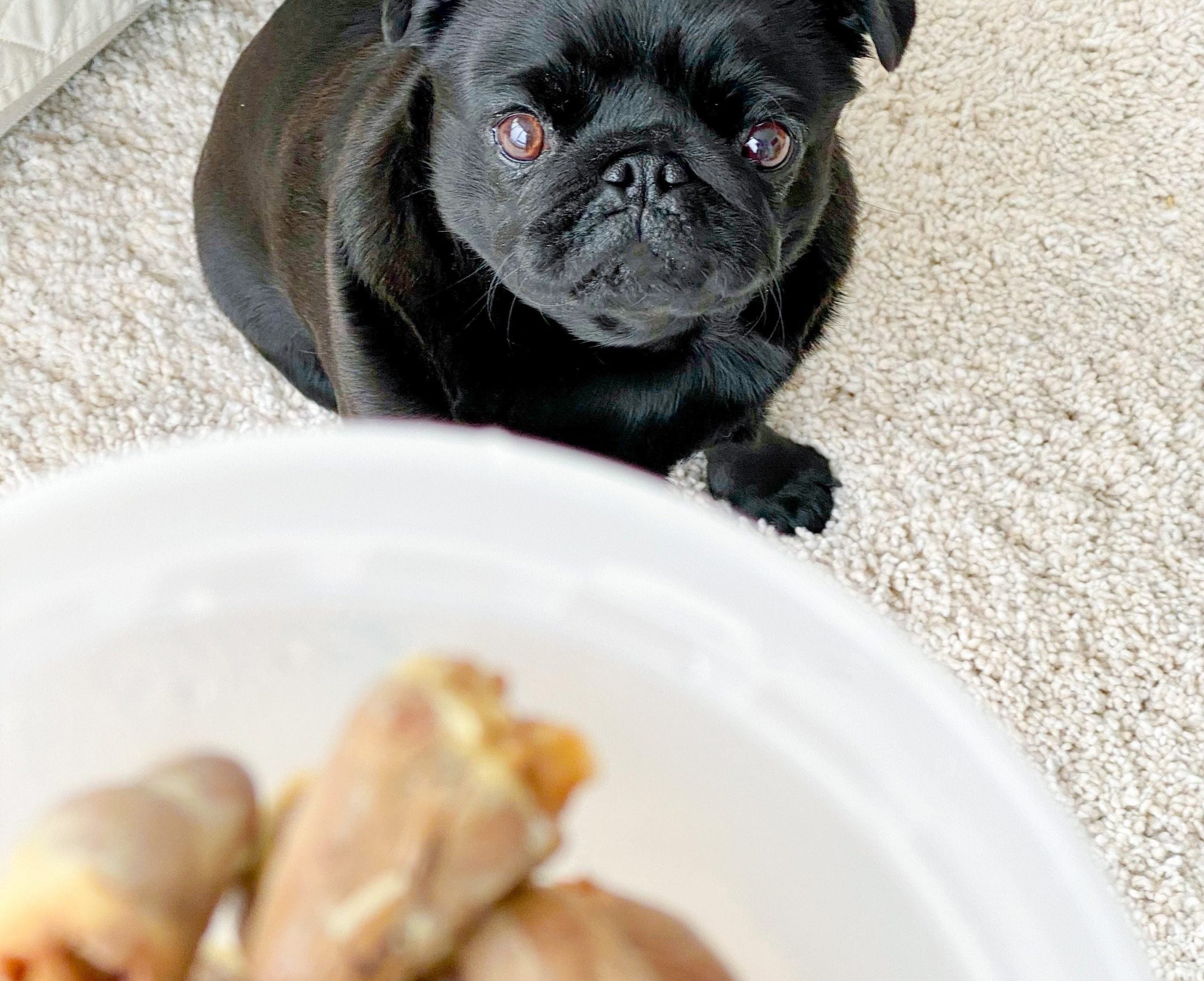 Snacks that are yummy to me (but probably not to you) – Sprinkle Pups