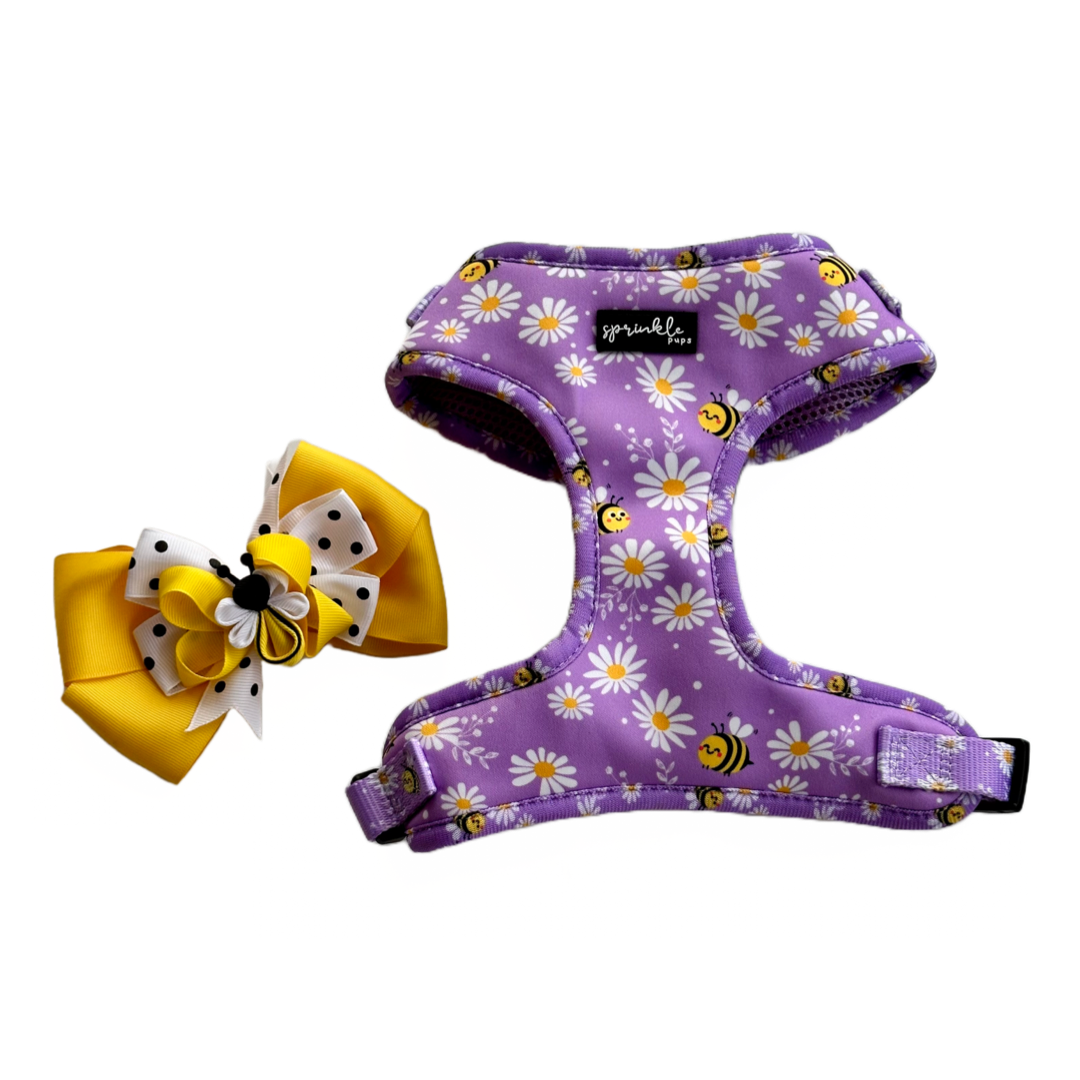Bee My Honey | Adjustable Harness, Leash, Bow Accessories
