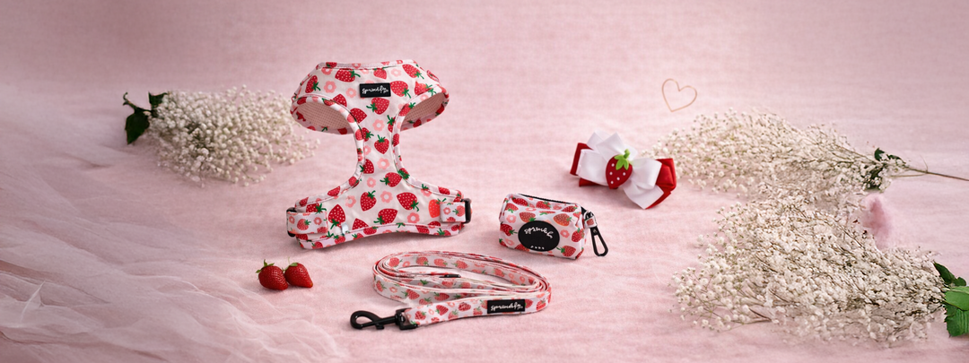 Strawberry Shortcake Collection