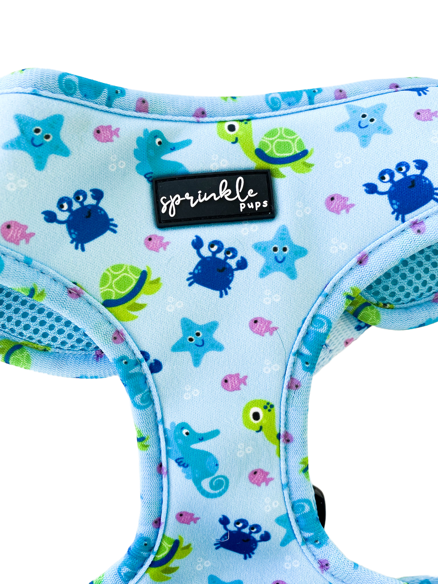 Under the Sea