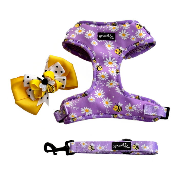 Bundle - Bee My Honey Matching Harness, Leash and Harness Bow Charm