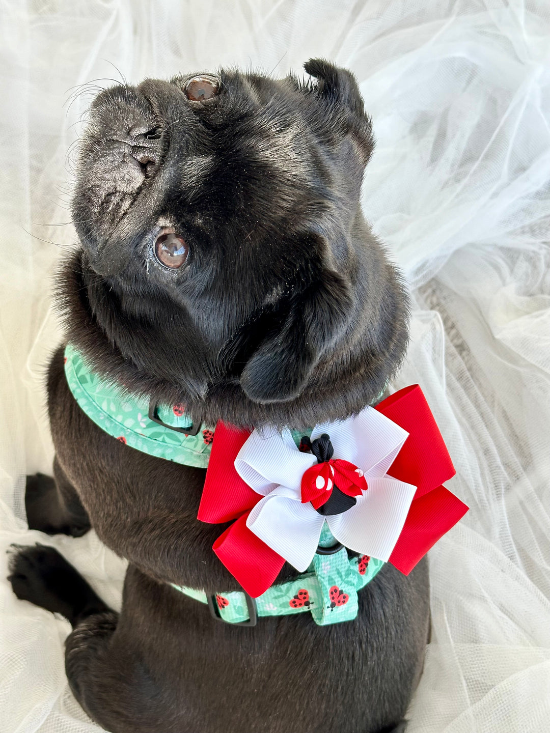 Harness Bow Charm - Ladybug Lovebug