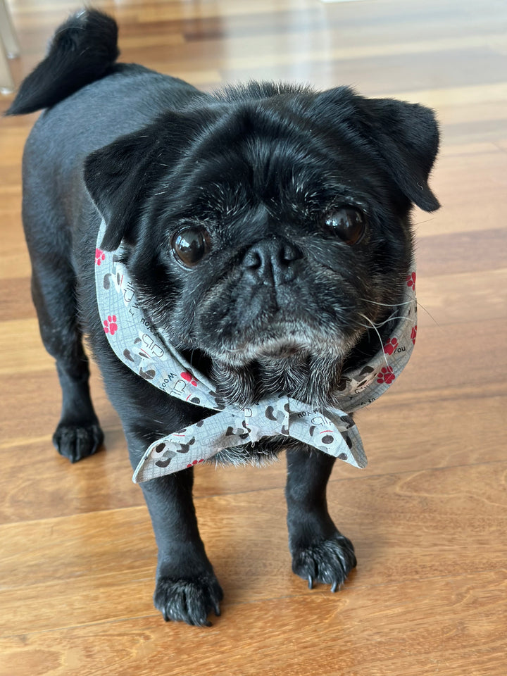 I Woof You Front-Tie Pet Bandana