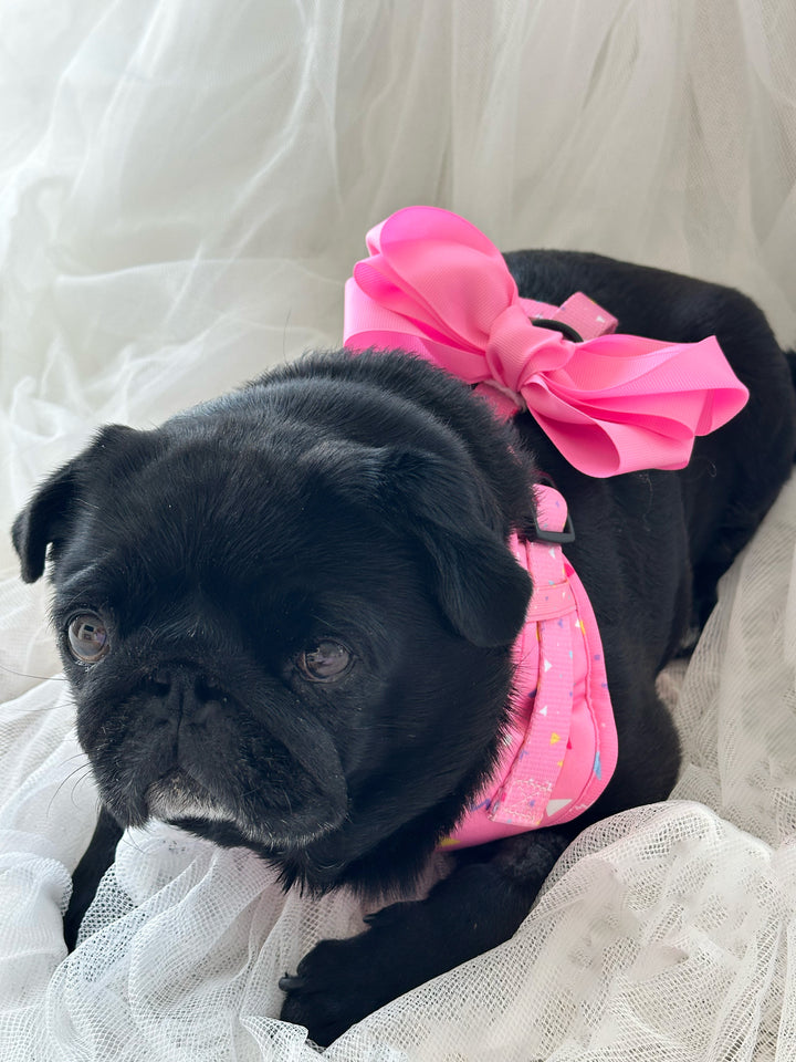 Bundle - Party Paws Matching Harness, Leash and Harness Bow Charm