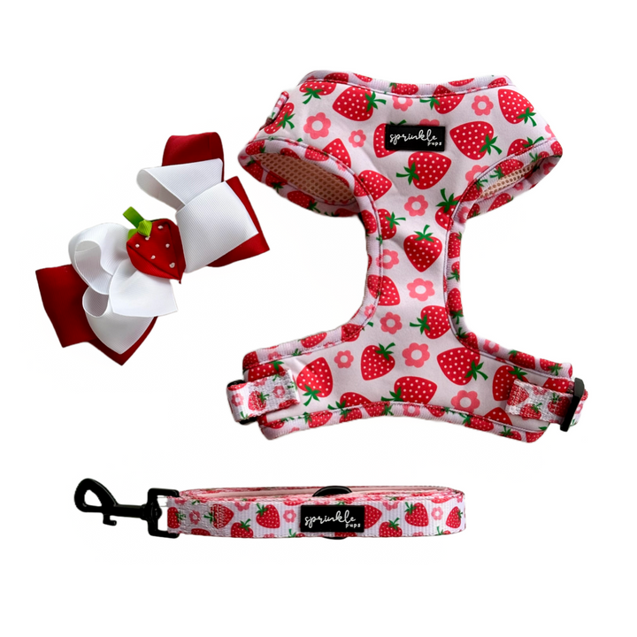 Bundle - Strawberry Shortcake Matching Harness, Leash and Harness Charm Bow