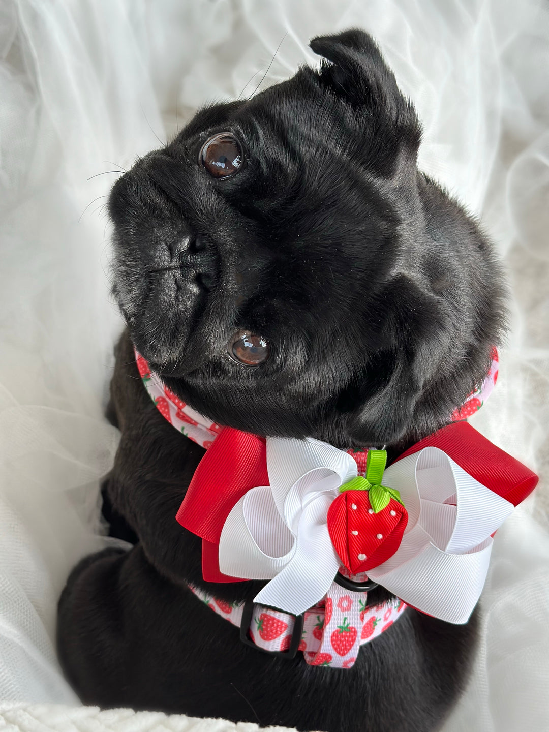 Harness Bow Charm - Strawberries on Top