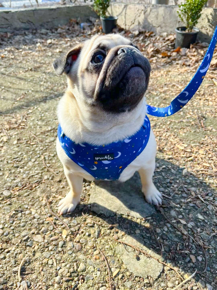 Adjustable Dog Harness - Magical Moon