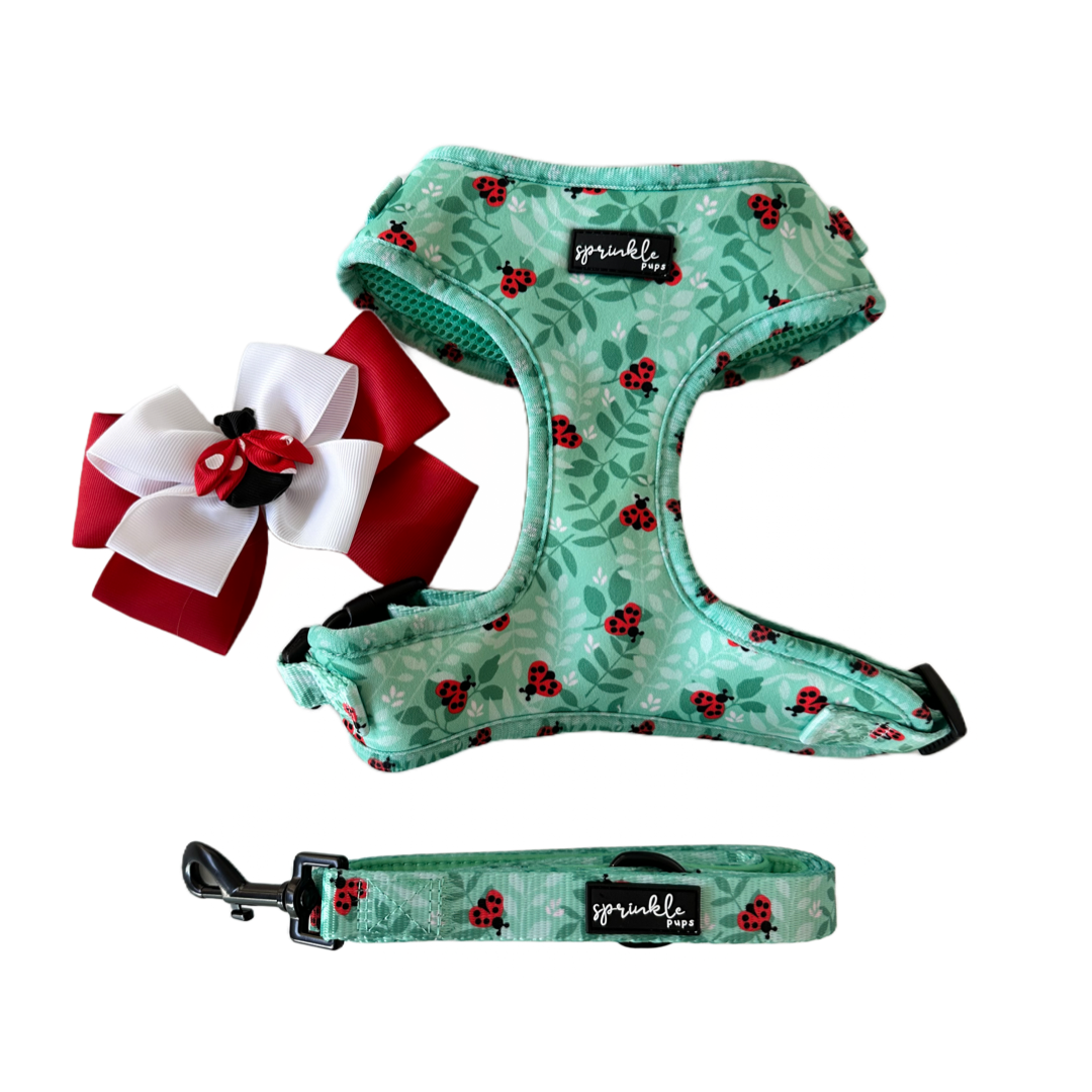 Ladybug Love Matching Harness, Leash and Harness Bow Set