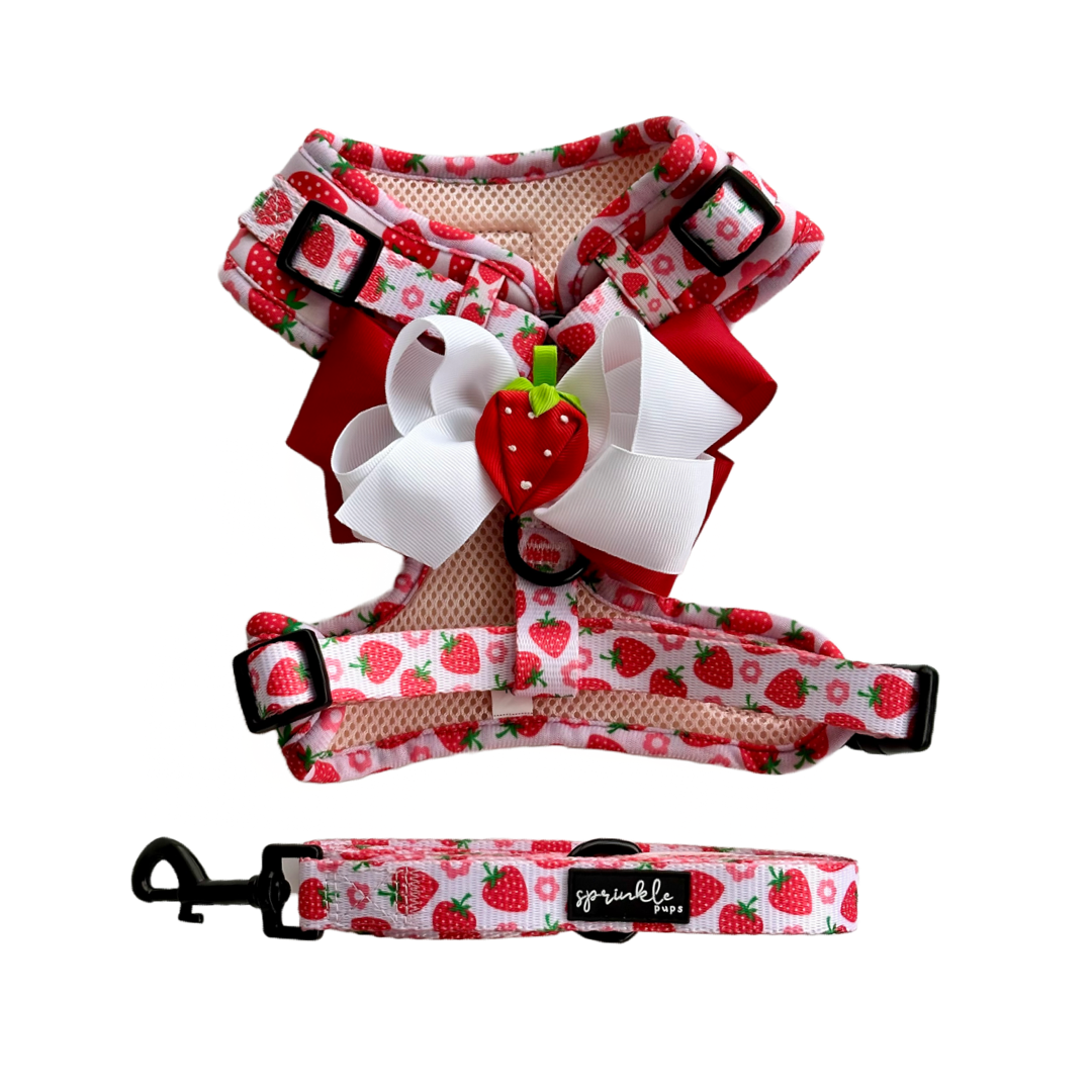 Bundle - Strawberry Shortcake Matching Harness, Leash and Harness Charm Bow