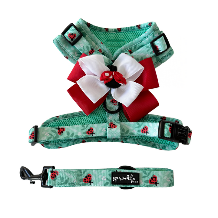 Ladybug Love Matching Harness, Leash and Harness Bow Set