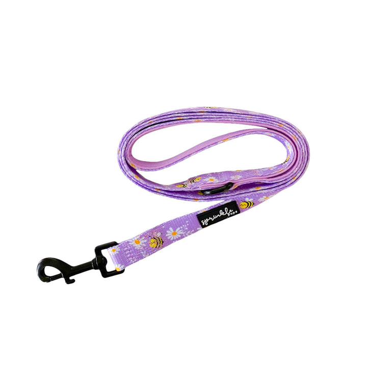 BMH Leash