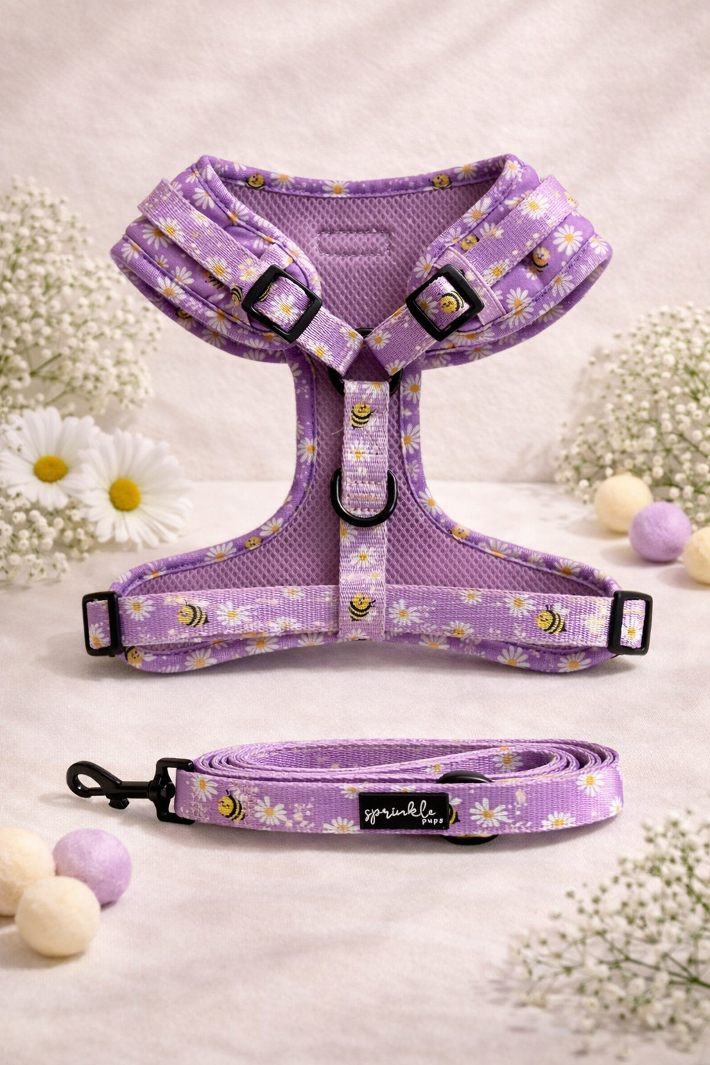 Bundle - Bee My Honey Matching Harness and Leash Set