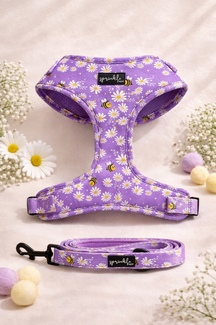Bundle - Bee My Honey Matching Harness and Leash Set