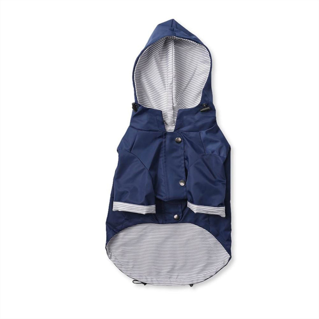 Bold and Blue Raincoat for Dogs
