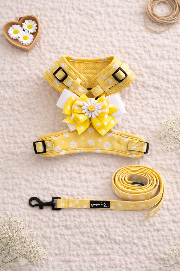 Bundle - Daisy Chiffon Pie Matching Harness, Leash and Harness Bow Charm