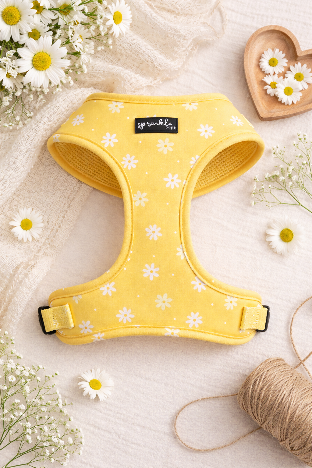 Bundle - Daisy Chiffon Pie Matching Harness, Leash and Harness Bow Charm