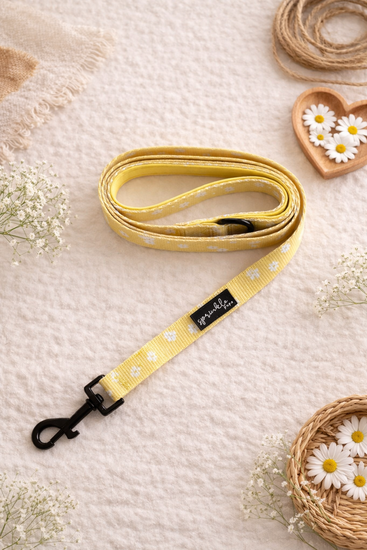 Leash - Daisy Chiffon Pie