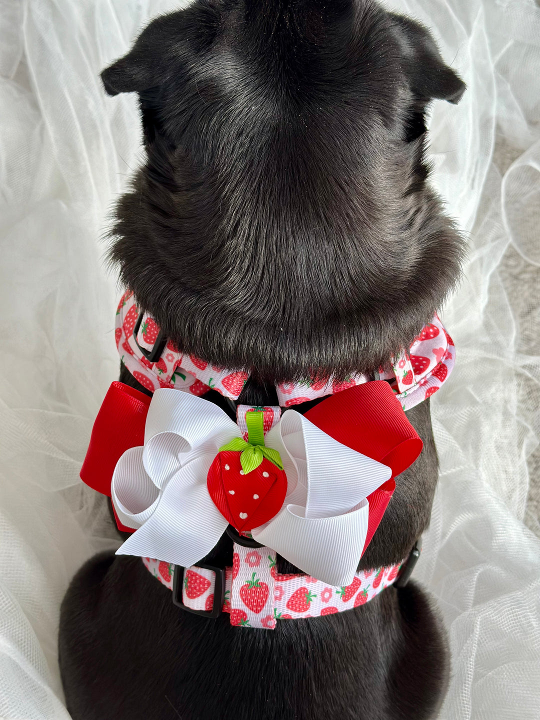 Harness Bow Charm - Strawberries on Top