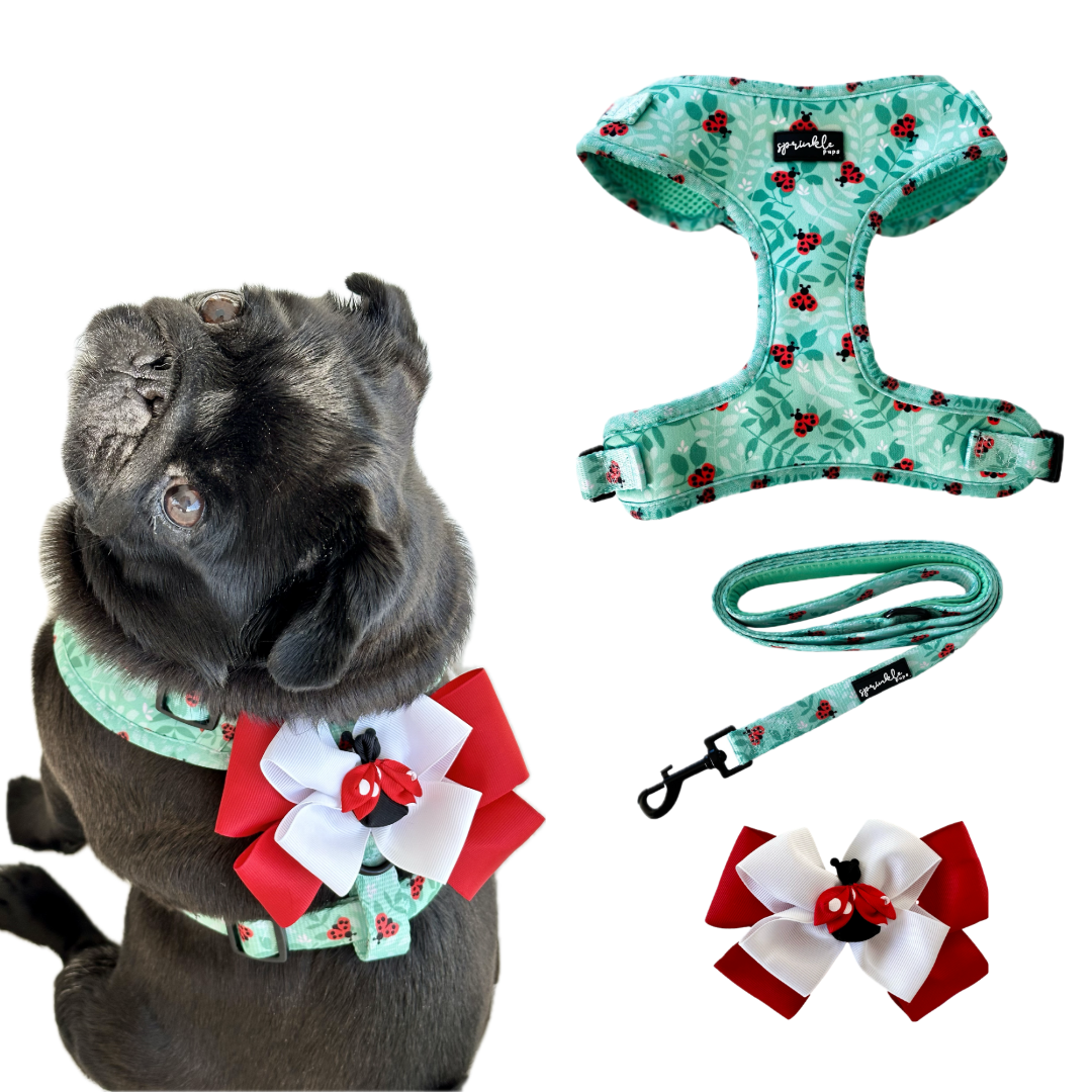 Ladybug Love Matching Harness, Leash and Harness Bow Set