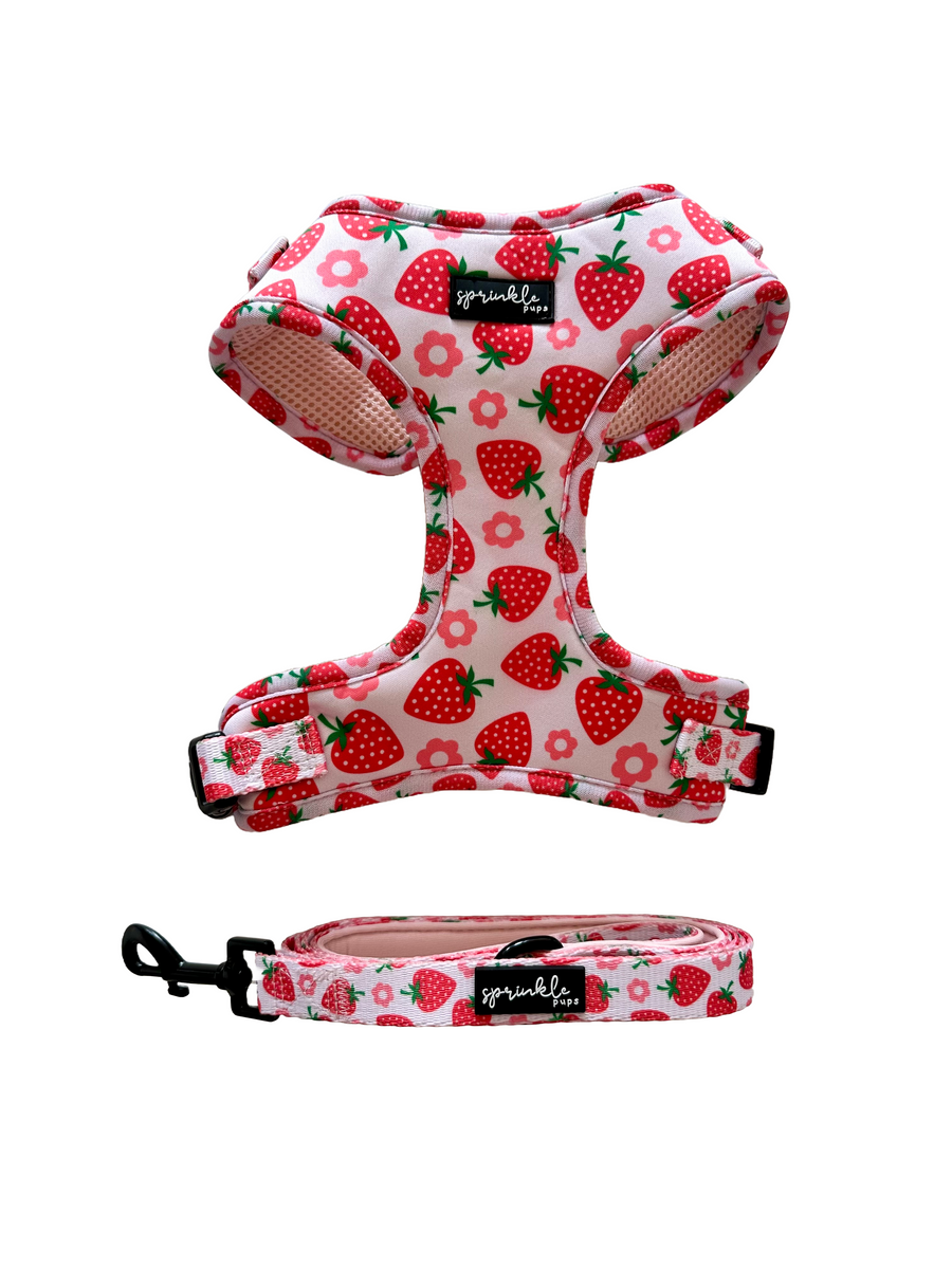 Sprinkle Pups Strawberry Shortcake Adjustable Harness and Leash Set
