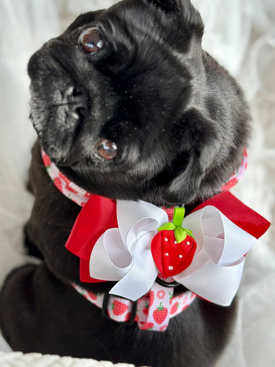 Bundle - Strawberry Shortcake Matching Harness and Leash Set