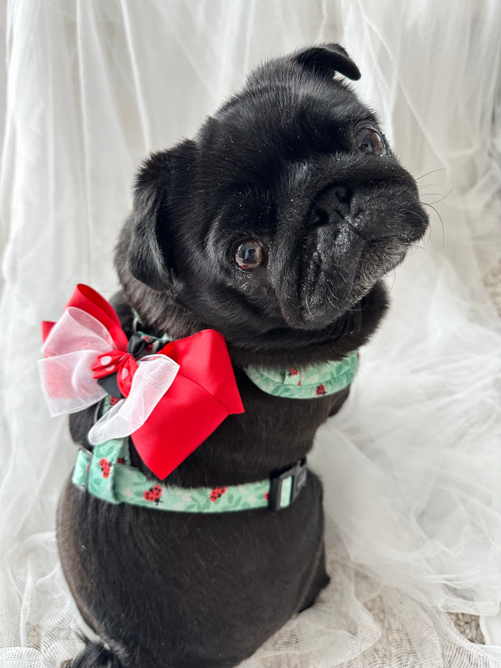 Adjustable Dog Harness - Ladybug Love