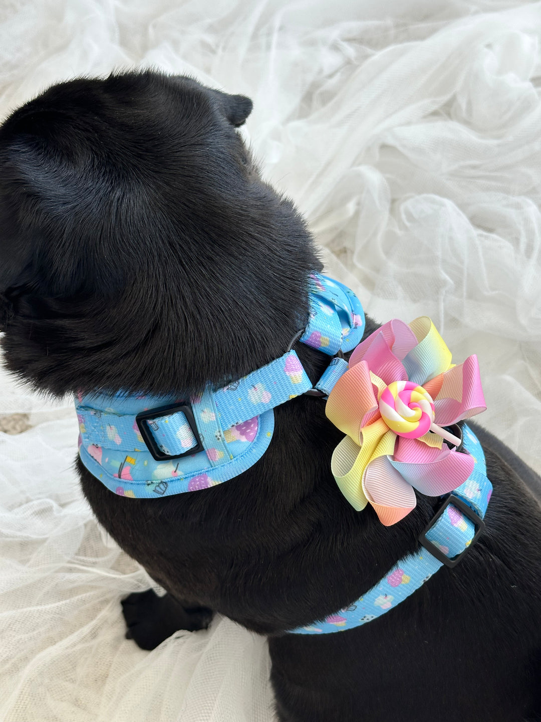 Harness Bow Charm - Sweet Swirls Collection