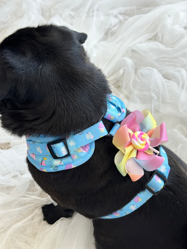 Harness Bow Charm - Sweet Swirls Collection