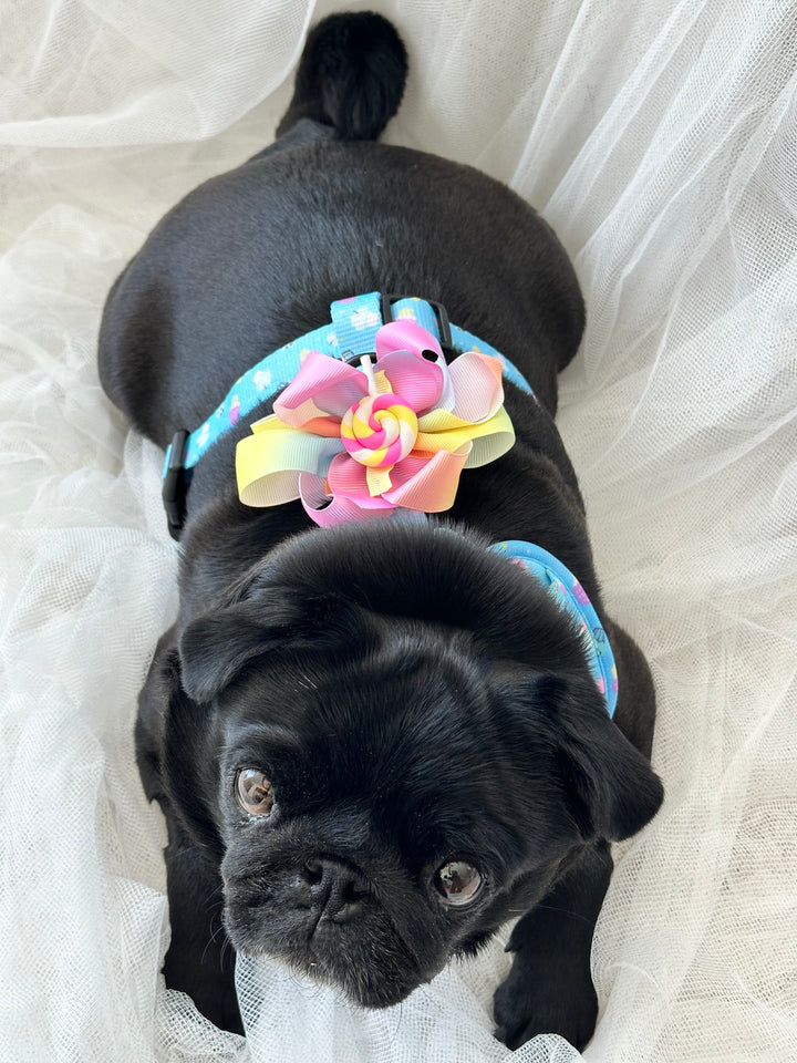 Harness Bow Charm - Sweet Swirls Collection