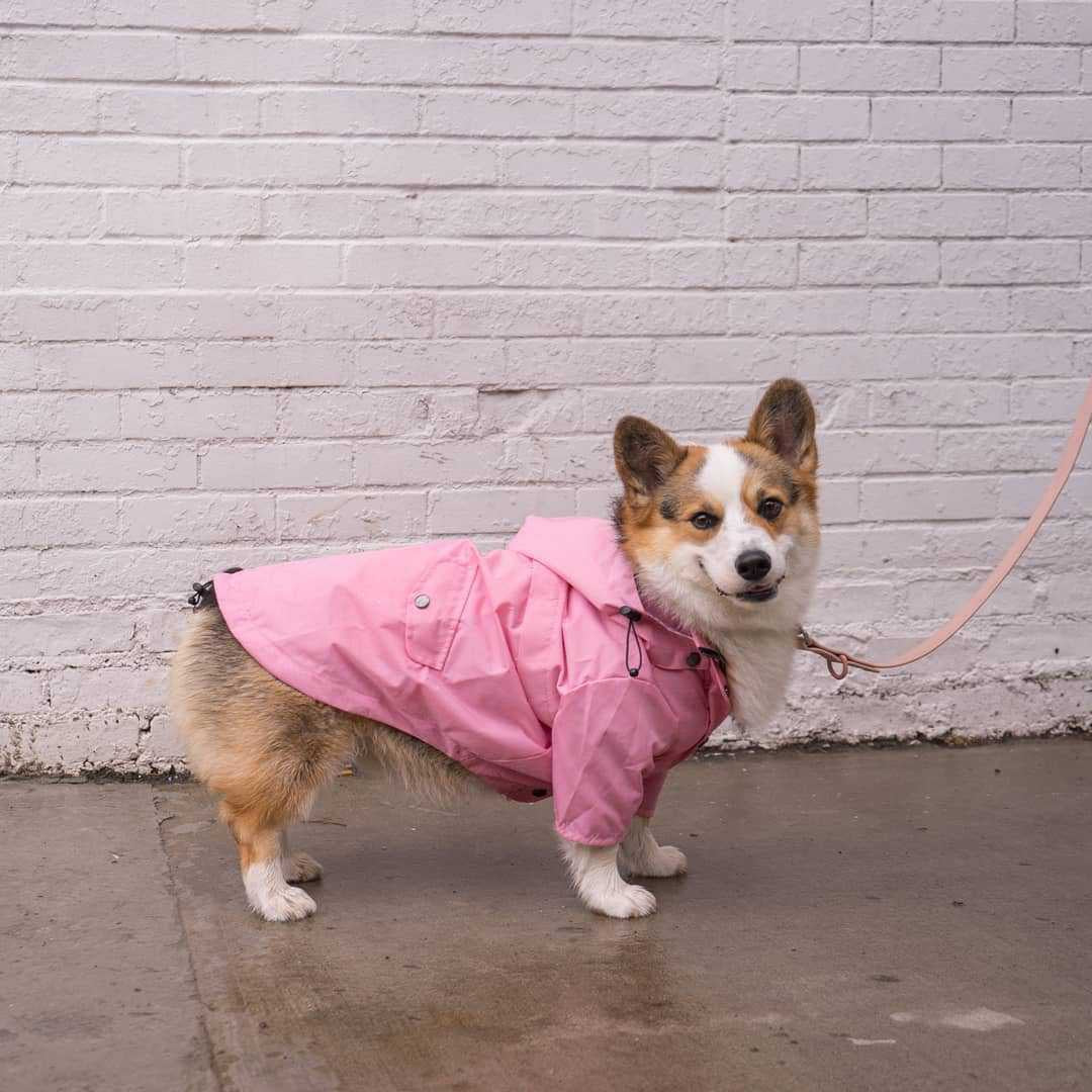 Pretty and Pink Raincoat for Dogs