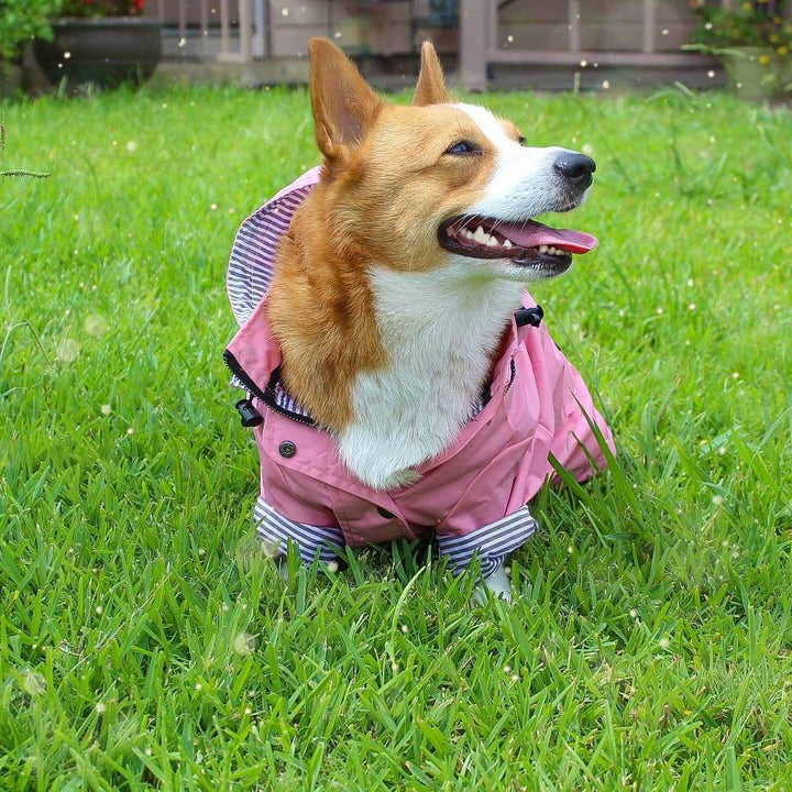 Pretty and Pink Raincoat for Dogs