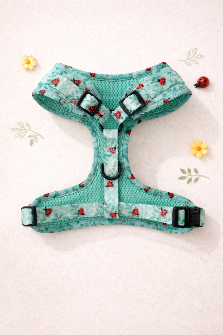 Bundle - Ladybug Love Matching Harness and Leash Set