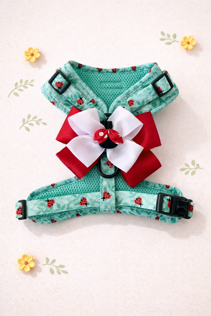 Ladybug Love Matching Harness, Leash and Harness Bow Set