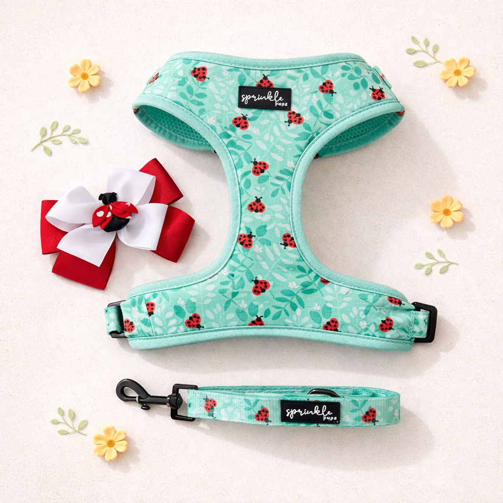 Ladybug Love Matching Harness, Leash and Harness Bow Set