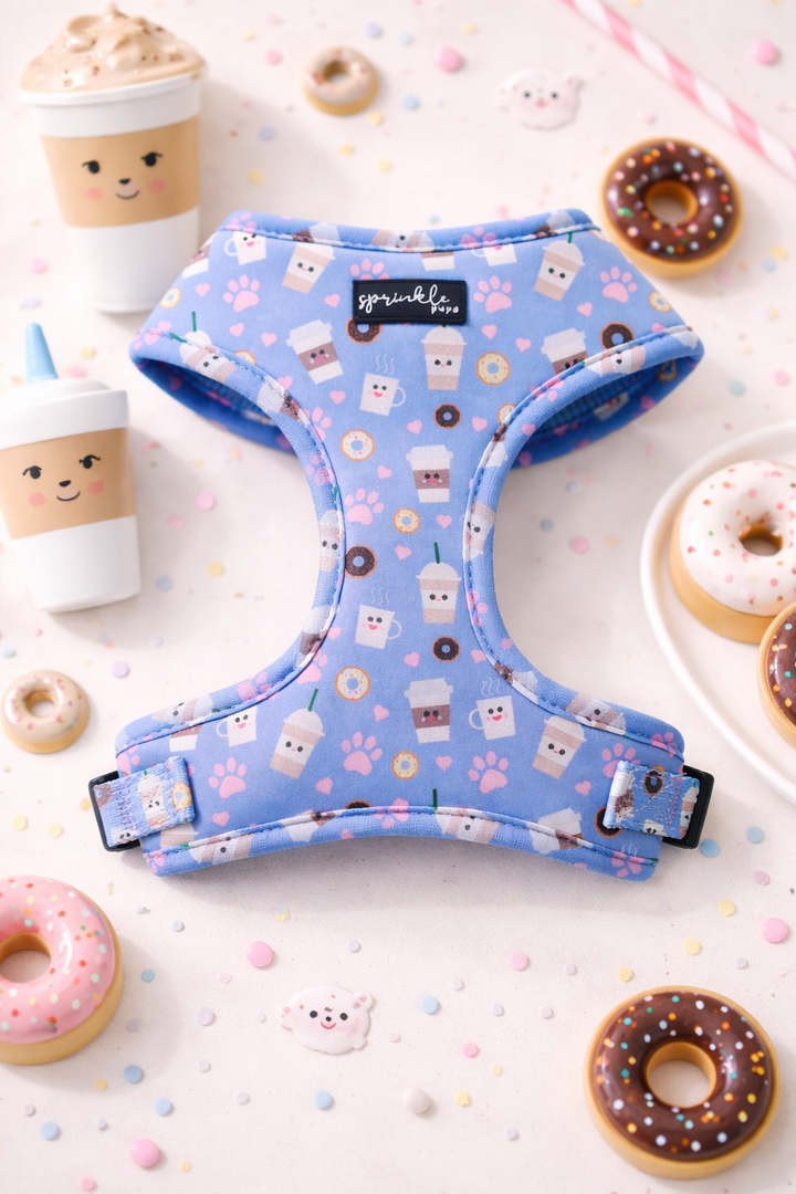 Bundle - I Love You a Latte Matching Harness, Leash and Harness Charm Bow