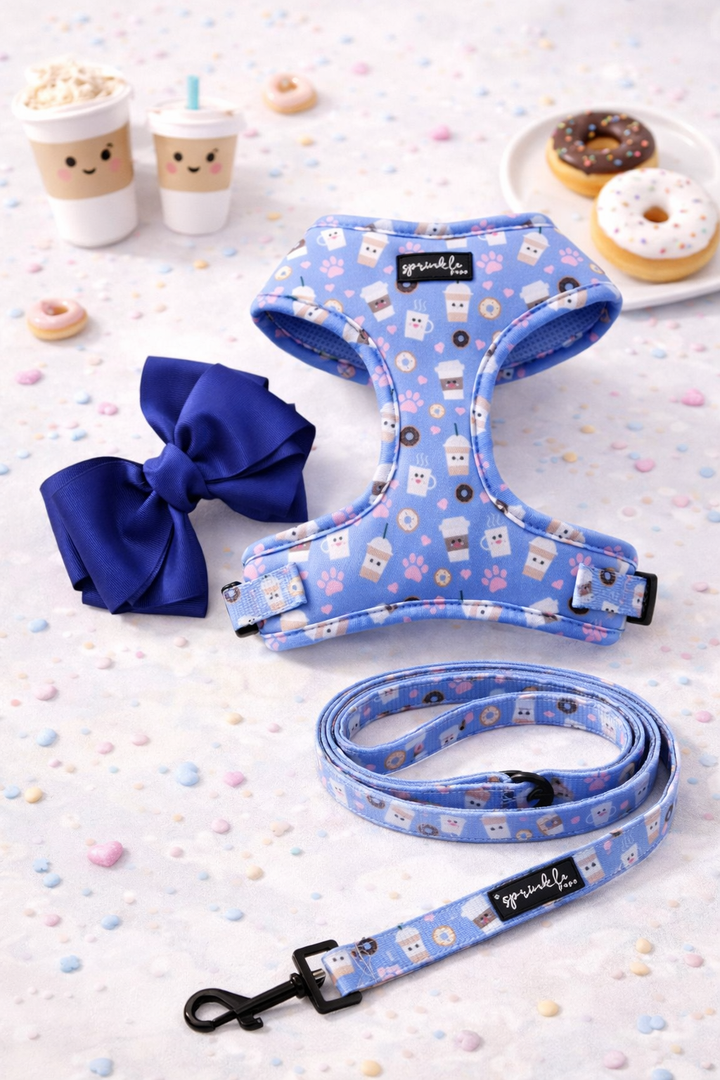 Bundle - I Love You a Latte Matching Harness, Leash and Harness Charm Bow