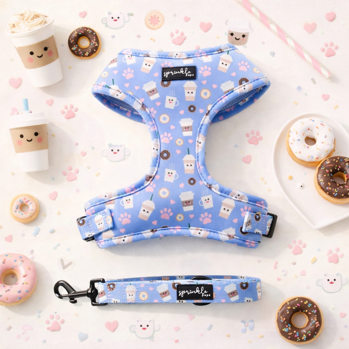 Bundle - I Love You a Latte Matching Harness and Leash Set