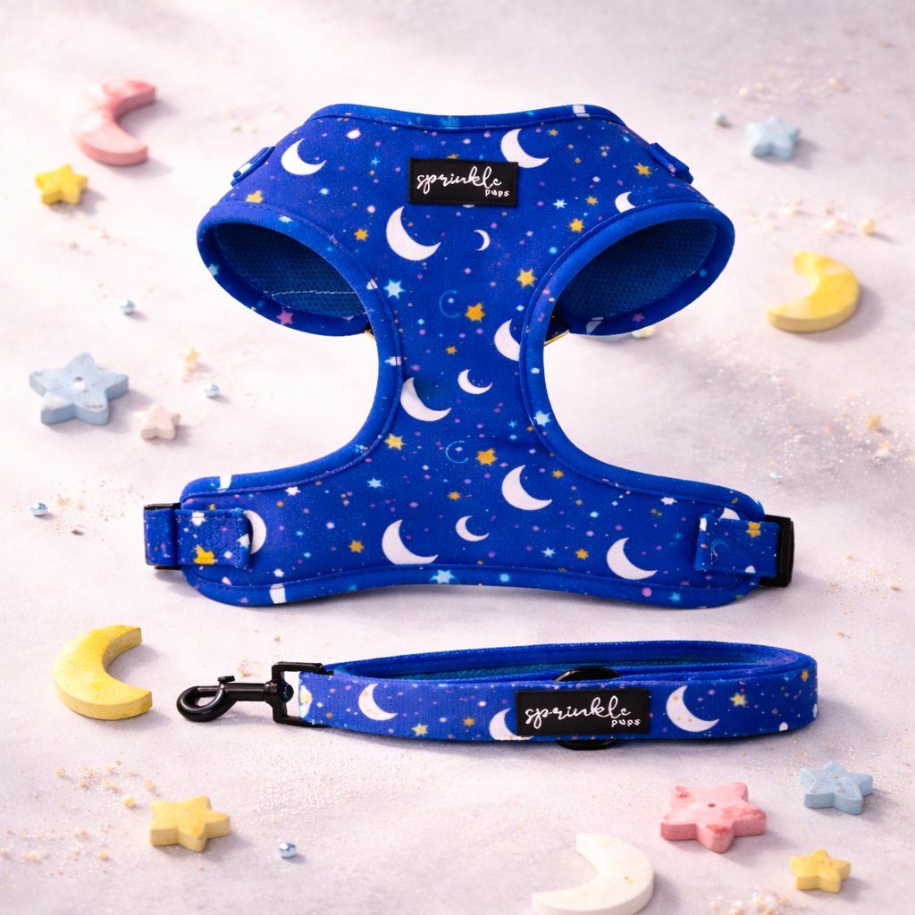 Bundle - Magical Moon Matching Harness and Leash Set
