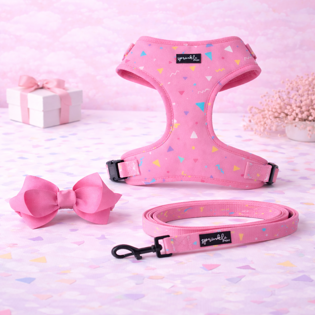 Bundle - Party Paws Matching Harness, Leash and Harness Bow Charm