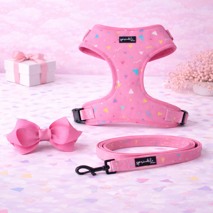 Bundle - Party Paws Matching Harness, Leash and Harness Bow Charm