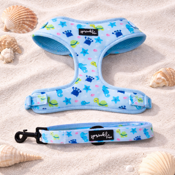 Bundle - Under the Sea Matching Harness and Leash Set