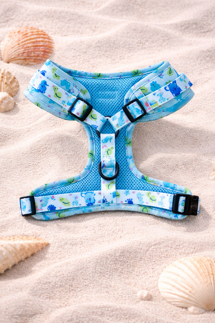 Bundle - Under the Sea Matching Harness and Leash Set