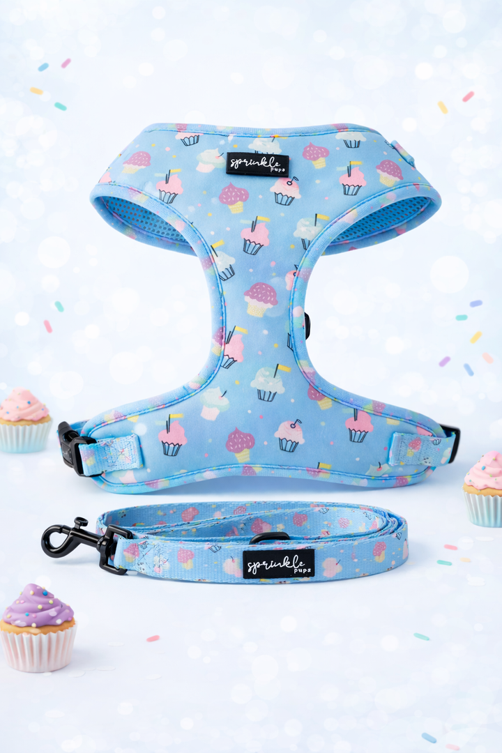Bundle - Sprinkles on Top Matching Harness and Leash Set