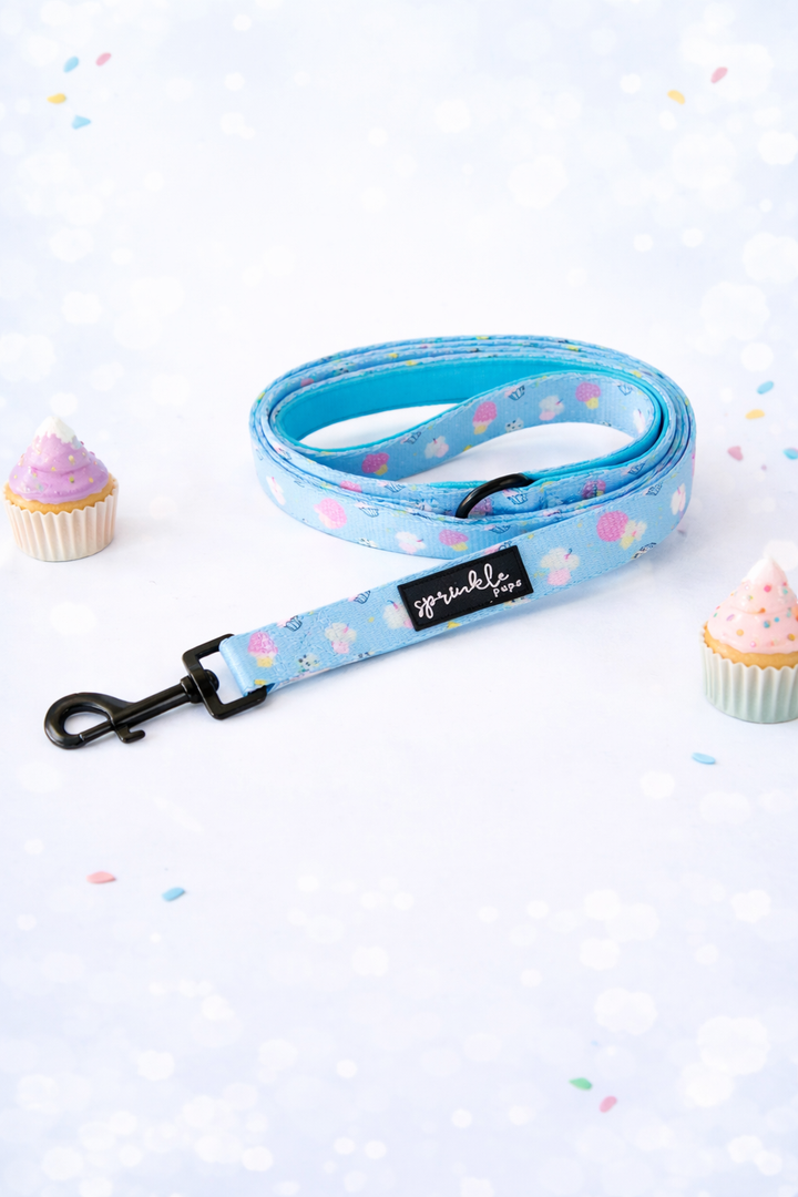 Bundle - Sprinkles on Top Matching Harness and Leash Set