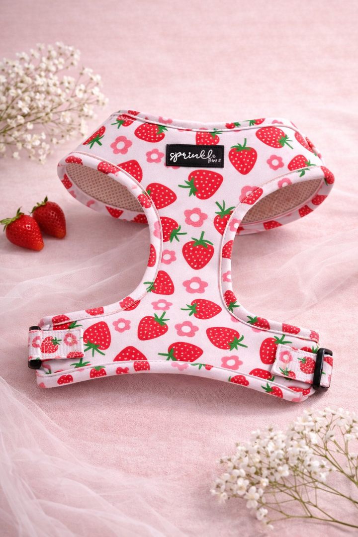 Bundle - Strawberry Shortcake Matching Harness, Leash and Harness Charm Bow