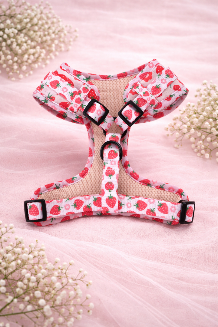 Bundle - Strawberry Shortcake Matching Harness and Leash Set