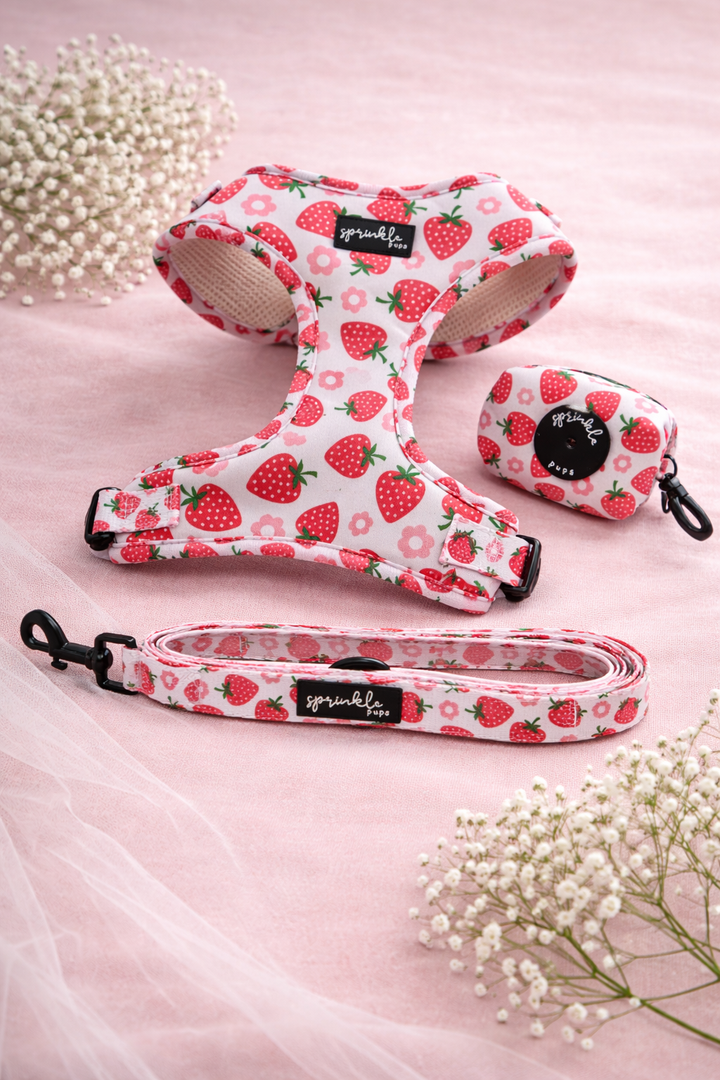 Bundle - Strawberry Shortcake Matching Harness, Leash and Poo Bag Set